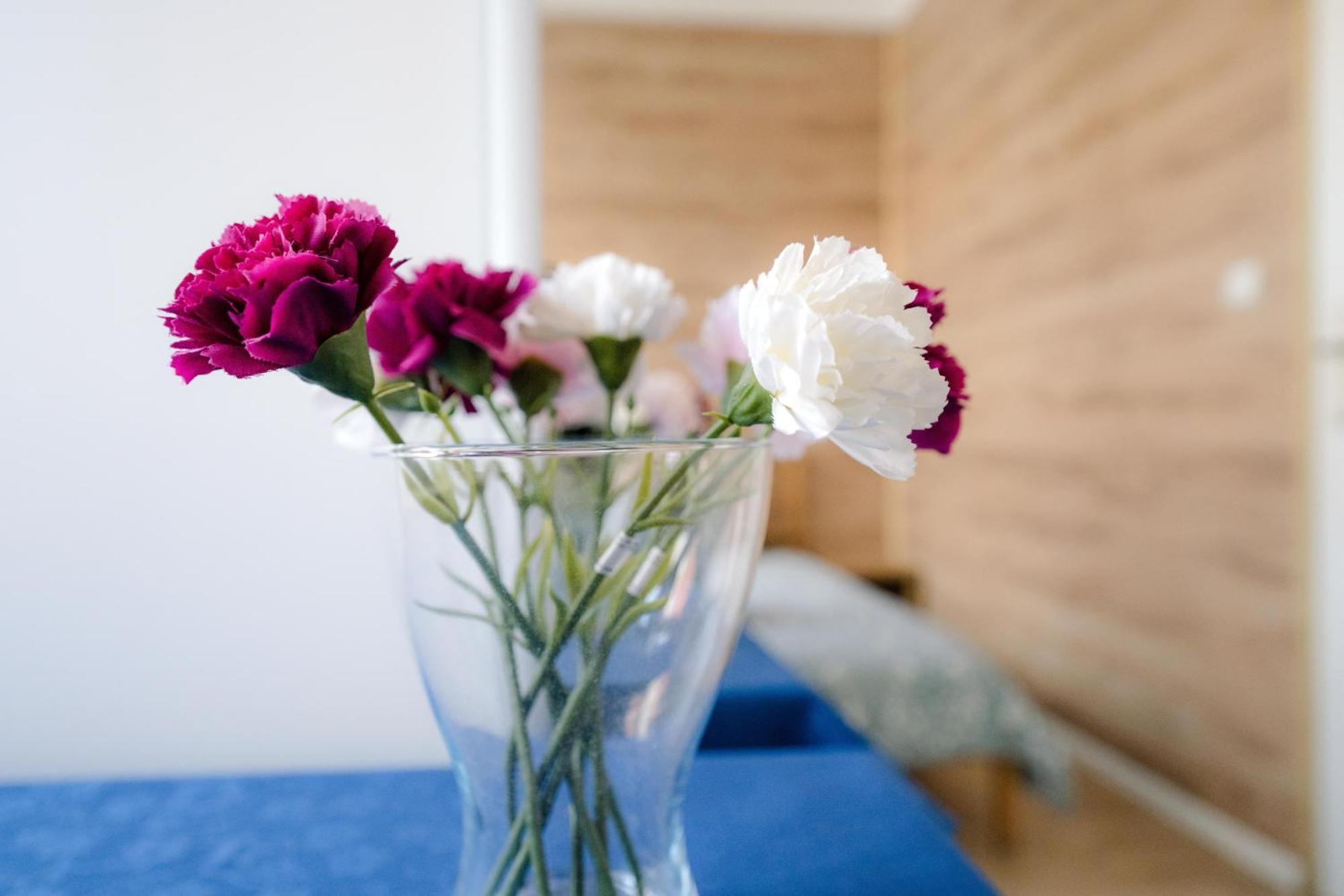 Cosy Balcony Apartment Grudziądz Εξωτερικό φωτογραφία